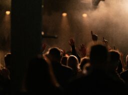 Eric Kleiner - live music